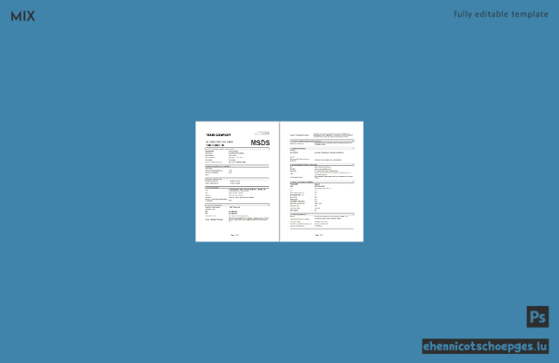 Sicherheitsdatenblatt Ihres Unternehmens (SDB) im Word- und PDF-Format, 3 Seiten, Beispielvorschau
